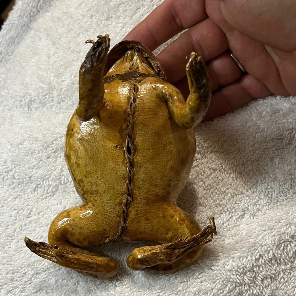 Realistic Brown Toad Ornament for Reptile Enclosures